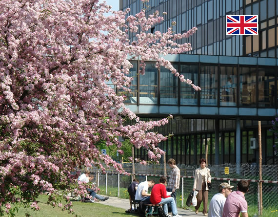 Nowoczesny, oszklony budynek uczelni z różowo kwitnącym drzewem na pierwszym planie.